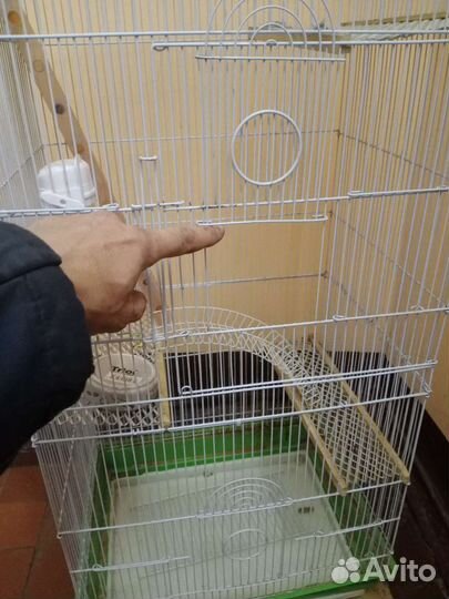 Клетка для грызунов многоярусная