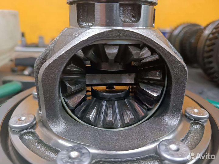 Шепчутся с вожделением, слагают легенды