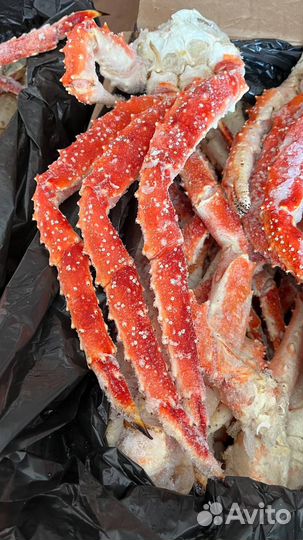 Краб камчатский Королевский