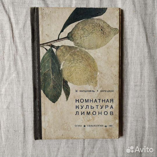 Комнатная культура лимонов - Капцинель 1937 г СССР