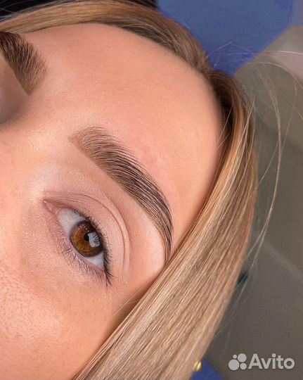 Обучение курс бровист