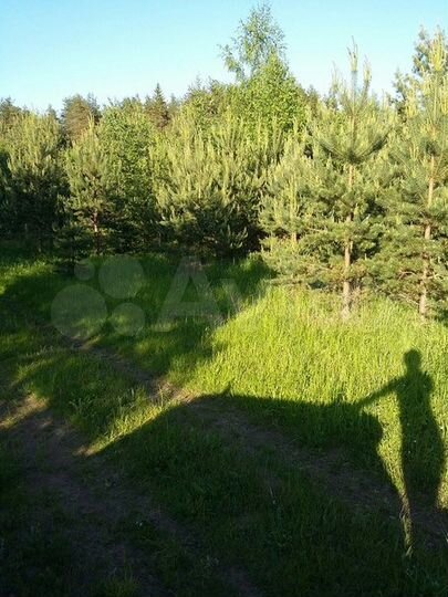 Участок 10 га (СНТ, ДНП)