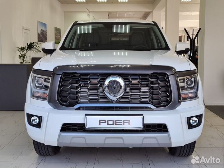 Great Wall Poer King Kong 2.0 МТ, 2023