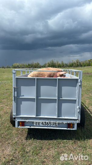 Крс и свиний