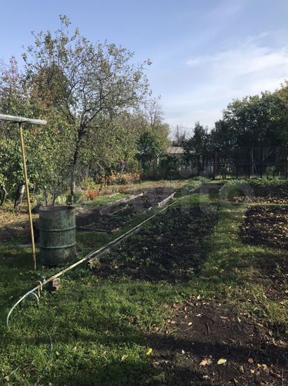 Участок 4 сот. (СНТ, ДНП)