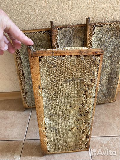 Мед в сотах, Башкирский