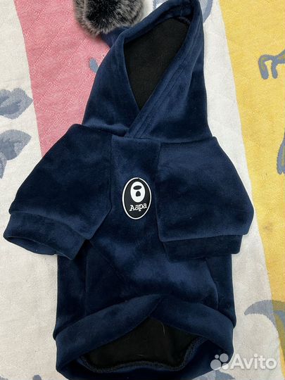 Одежда для собак