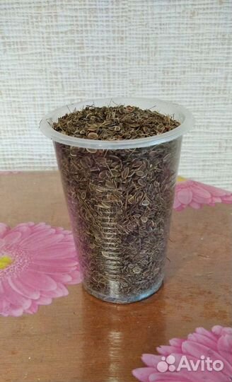 Семена укропа