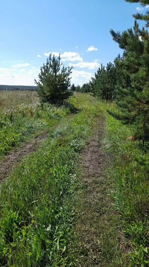 Участок 4,72 га (СНТ, ДНП)