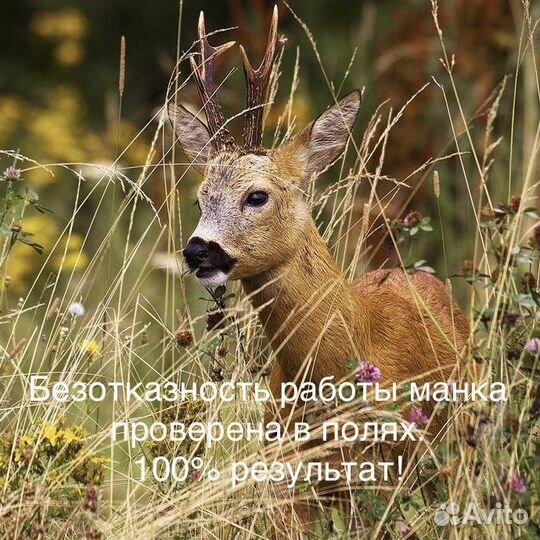 Манок на косулю