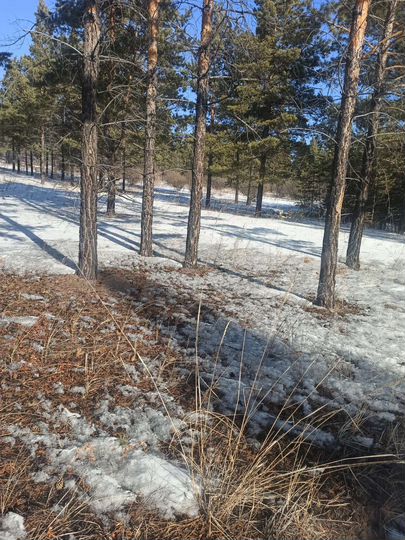 Участок 8 сот. (ИЖС)