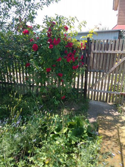 Дача 35 м² на участке 12 сот.