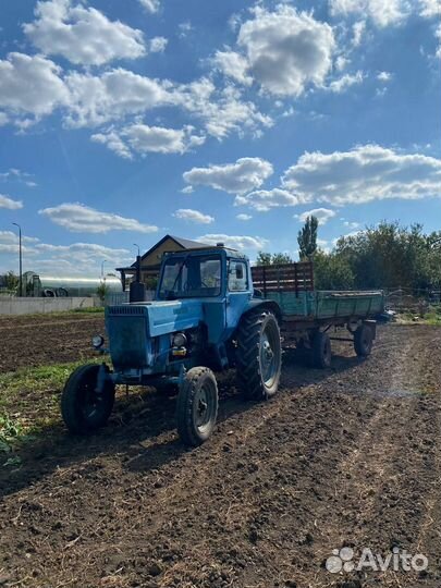 Трактор МТЗ (Беларус) 80, 1981