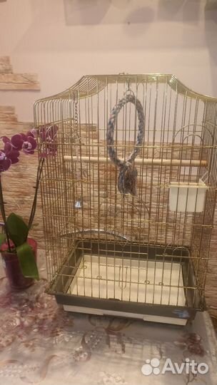 Большая клетка для птиц, попугаев Карелла