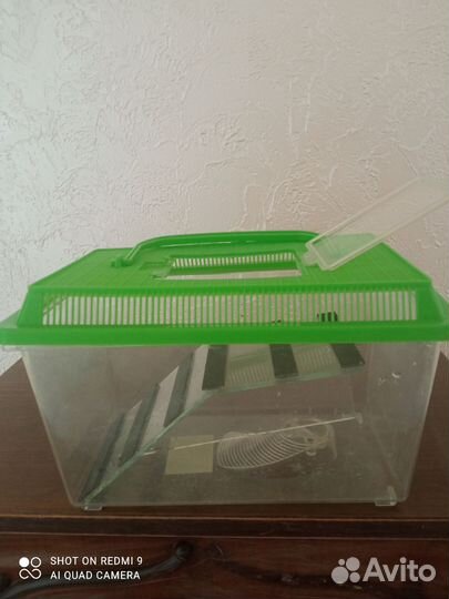 Аквариум для черепах