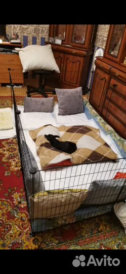 Вольер для животных (1 секция 60см на 60см)