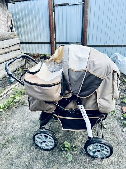 Коляска-трансформер Alis amelia
