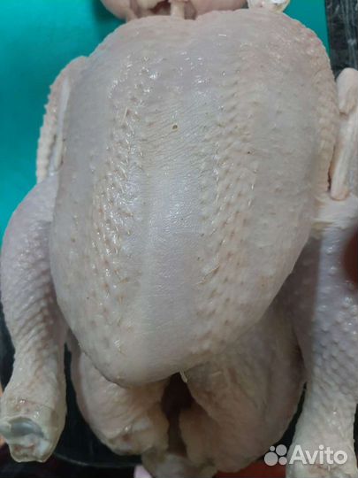 Мясо кур бройлеров