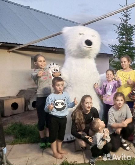 Белый медведь аниматор