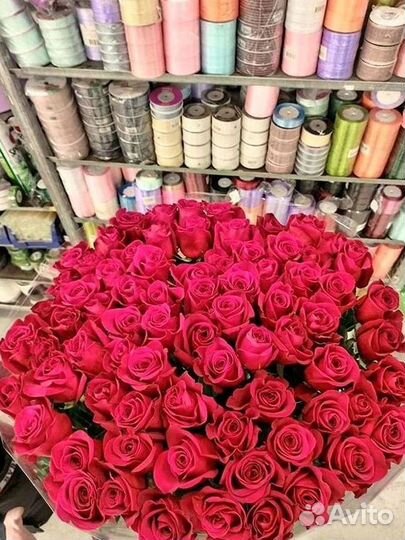 Высокие Розы Гиганты Доставка Круглосуточно