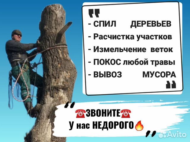 Спил деревьев севастополь