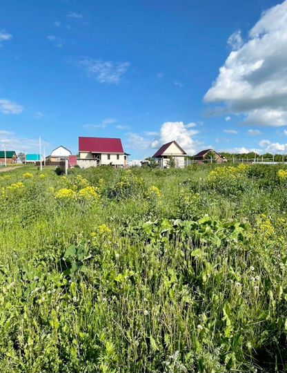 Участок 10 сот. (ИЖС)