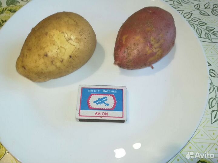 Картофель домашний. Доставка бесплатная