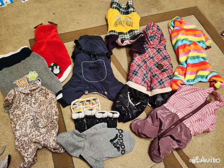 Комбинезоны для собак