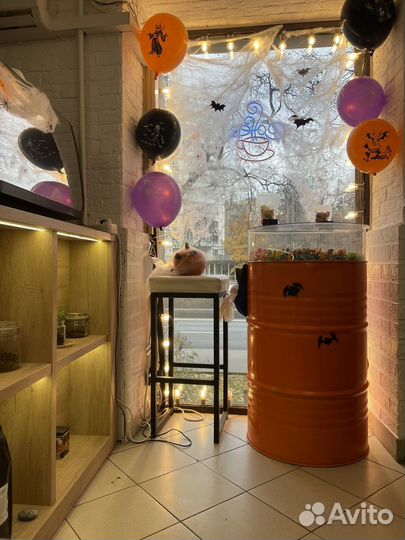 Курсы бариста