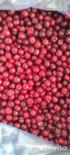Вишня ягода с косточкой замороженная