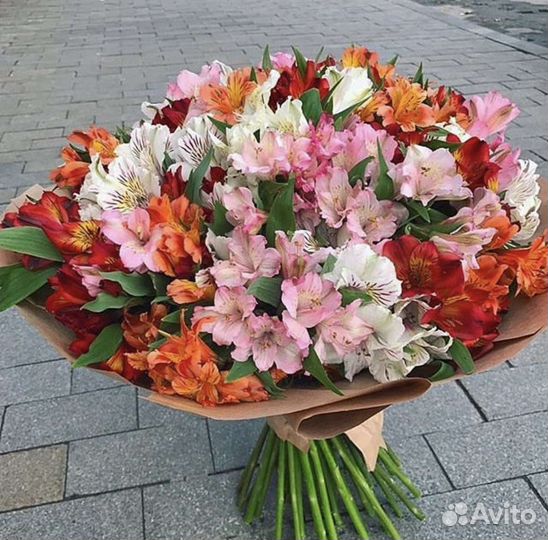 Большой букет альстромерии 51 шт