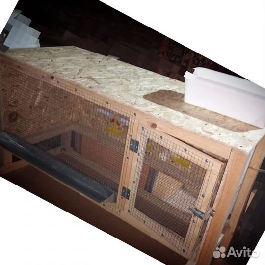 Брудер для цыплят