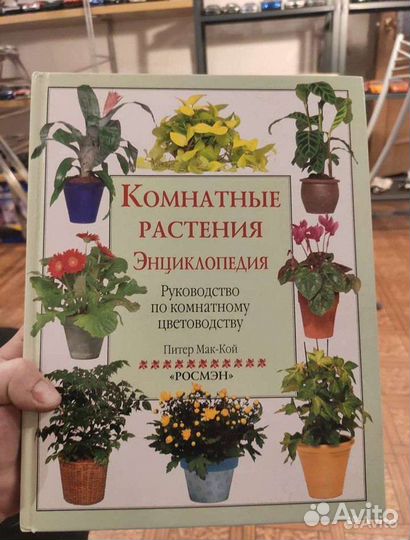 Энциклопедия Комнатные растения