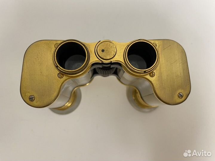 Бинокль Carl Zeiss Teleater