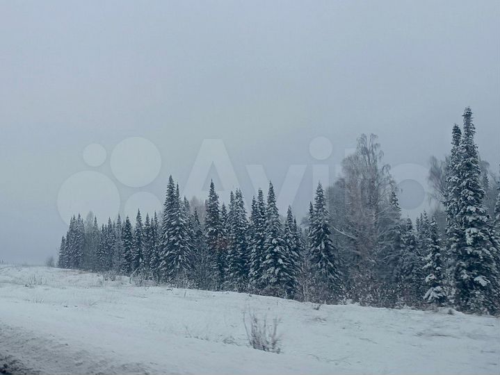 Участок 12,5 сот. (ИЖС)