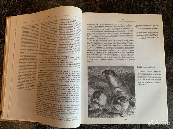 Жизнь животных. Брем Альфред Эдмунд 2004