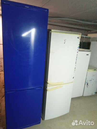 Холодильник snaige