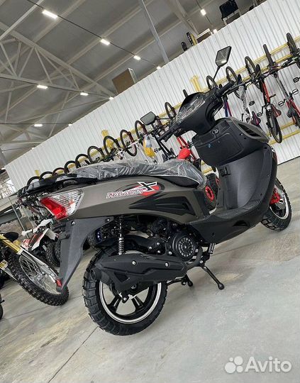 Скутер motoland (мотоленд) paladin sport 200 (150)