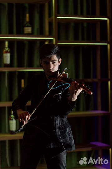 Скрипка на мероприятие