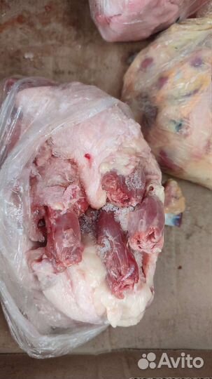 Мясо для собак