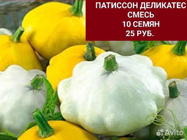 Семена Татиссонов и Кабачков