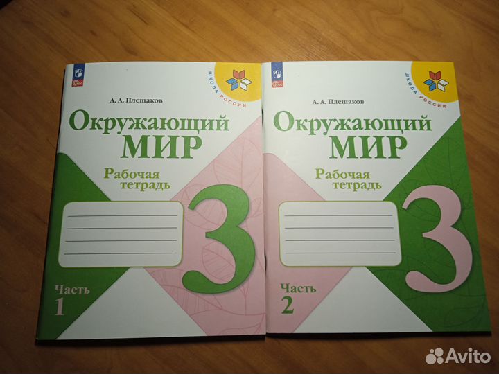 Рабочая тетрадь Окружающий мир плешаков 3 класс