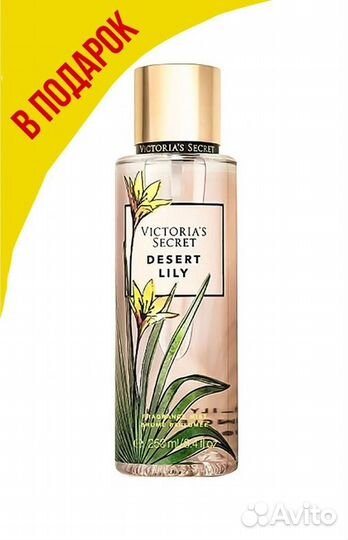 Kirke Tiziana Terenzi