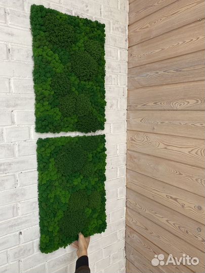 Панели из стабилизированного мха