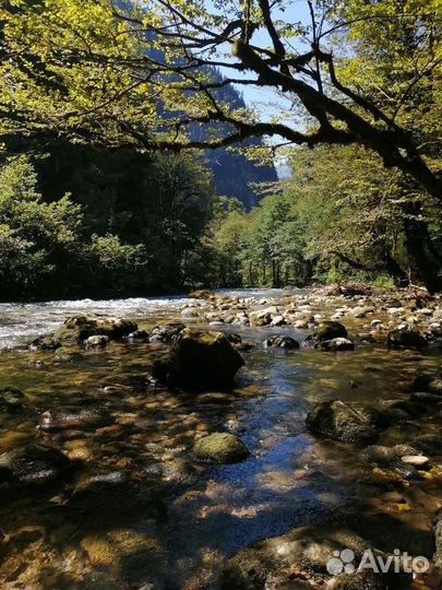 Экскурсии по Сочи и Абхазии