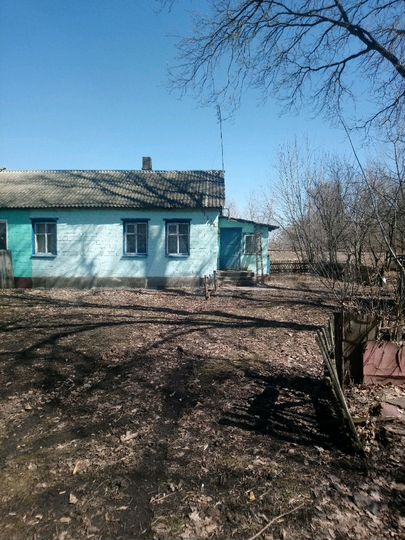 Дом 54 м² на участке 30 сот.