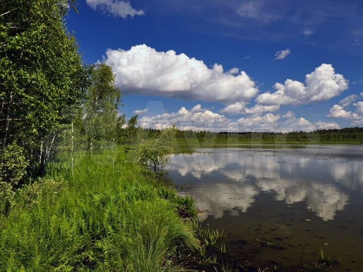 Участок 16 га (СНТ, ДНП)