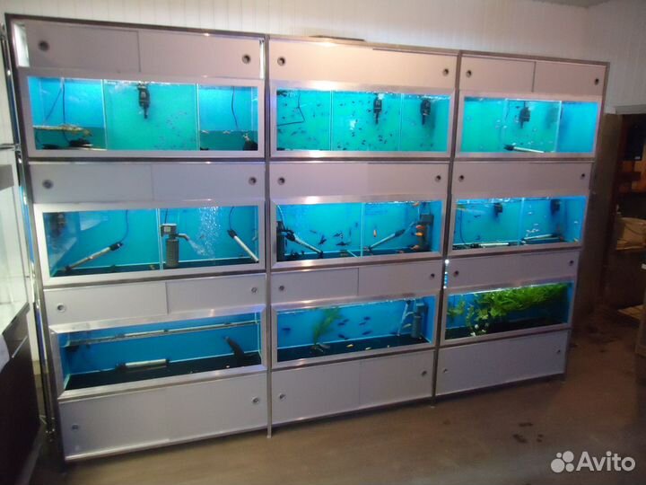 Аквариумные торговые комплексы