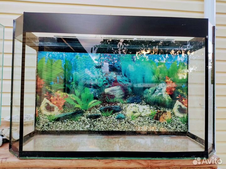 Аквариум