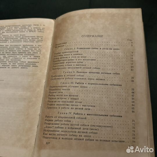 Пупышев Охотничьи легавые собаки
